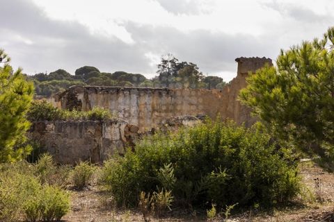 Farm i Lagoa, Faro, Lagoa - € 2.800.000 | Ref: QUI-2766 - foto 17