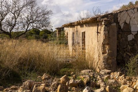 Farm i Lagoa, Faro, Lagoa - € 2.800.000 | Ref: QUI-2766 - foto 18