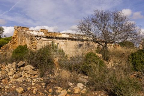 Farm i Lagoa, Faro, Lagoa - € 2.800.000 | Ref: QUI-2766 - foto 19