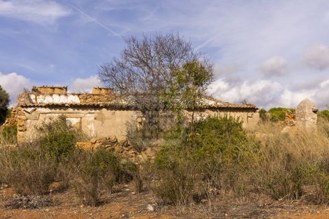 Farm i Lagoa, Faro, Lagoa - € 2.800.000 | Ref: QUI-2766 - foto 20