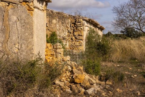 Farm i Lagoa, Faro, Lagoa - € 2.800.000 | Ref: QUI-2766 - foto 21