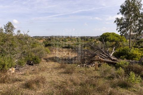 Farm i Lagoa, Faro, Lagoa - € 2.800.000 | Ref: QUI-2766 - foto 22