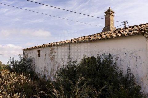 Farm i Lagoa, Faro, Lagoa - € 2.800.000 | Ref: QUI-2766 - foto 23