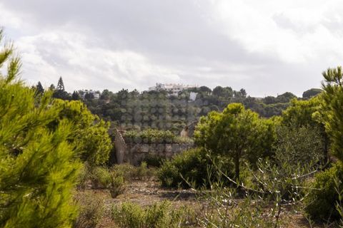 Farm i Lagoa, Faro, Lagoa - € 2.800.000 | Ref: QUI-2766 - foto 24