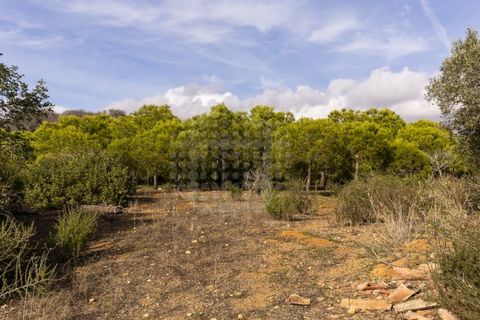 Farm i Lagoa, Faro, Lagoa - € 2.800.000 | Ref: QUI-2766 - foto 25