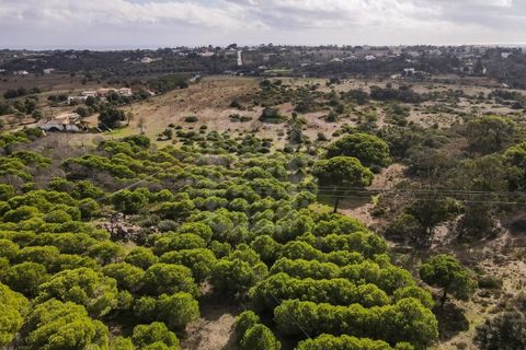Farm i Lagoa, Faro, Lagoa - € 2.800.000 | Ref: QUI-2766 - foto 27