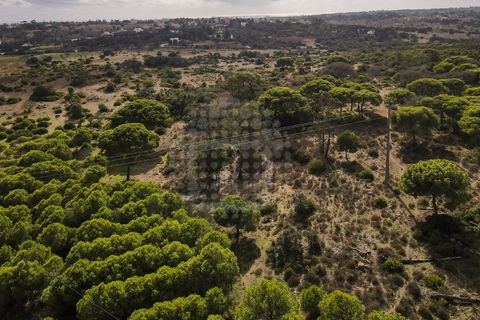 Farm i Lagoa, Faro, Lagoa - € 2.800.000 | Ref: QUI-2766 - foto 28