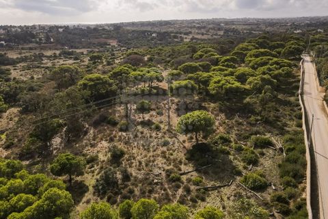 Farm i Lagoa, Faro, Lagoa - € 2.800.000 | Ref: QUI-2766 - foto 29