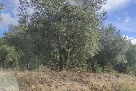 Helårsgrund i Ourem, Santarem, Ourem - € 45.000 | Ref: C0269-01720 - foto 2
