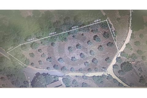 Helårsgrund i Ourem, Santarem, Ourem - € 45.000 | Ref: C0269-01720 - foto 3