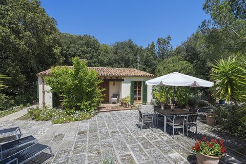 Cortijo i Pollenca, Mallorca, Pollenca - € 9 000 000 | Ref: POL5453RM - foto 17