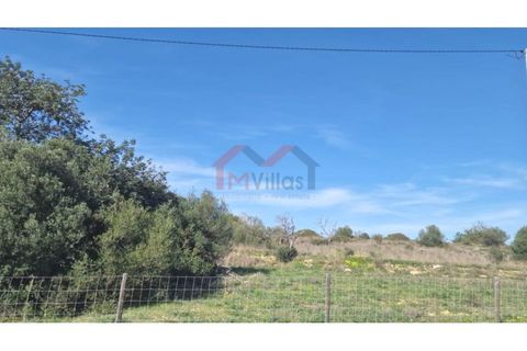 Helårsgrund i Almancil, Faro, Almancil - € 3.200.000 | Ref: 3013 - foto 5