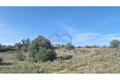 Helårsgrund i Almancil, Faro, Almancil - € 3.200.000 | Ref: 3013 - foto 6