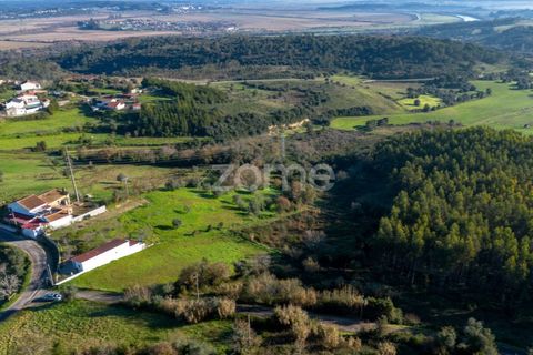 Helårsgrund i Abrunheira, Lisbon, Abrunheira - € 25.000 | Ref: ZMPT564201 - foto 16