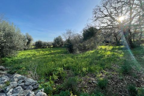 Helårsgrund i Ferreira do Zezere, Santarem, Ferreira do Zezere - € 27.000 | Ref: A102024 - foto 2