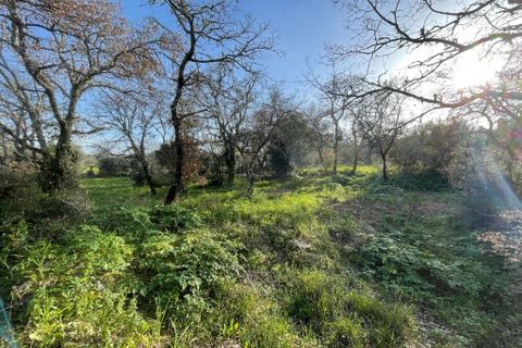 Helårsgrund i Ferreira do Zezere, Santarem, Ferreira do Zezere - € 27.000 | Ref: A102024 - foto 3
