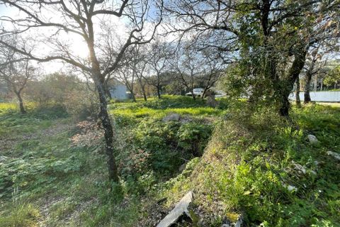 Helårsgrund i Ferreira do Zezere, Santarem, Ferreira do Zezere - € 27.000 | Ref: A102024 - foto 5