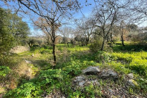 Helårsgrund i Ferreira do Zezere, Santarem, Ferreira do Zezere - € 27.000 | Ref: A102024 - foto 6