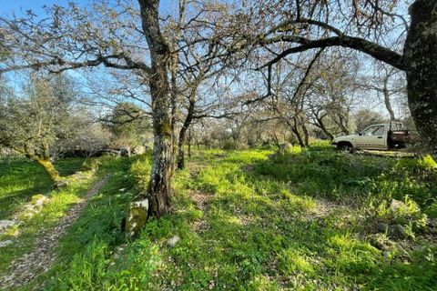 Helårsgrund i Ferreira do Zezere, Santarem, Ferreira do Zezere - € 27.000 | Ref: A102024 - foto 7