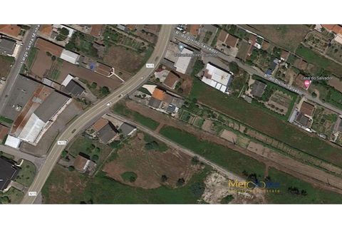 Terra a Vila Mea, Porto, Vila Mea - € 80.000 | Ref: MH2404 - foto 3