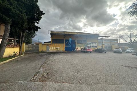Erhvervsejendom i Massa, Massa and Carrara, Massa - € 1.600.000 | Ref: 2835 - foto 6
