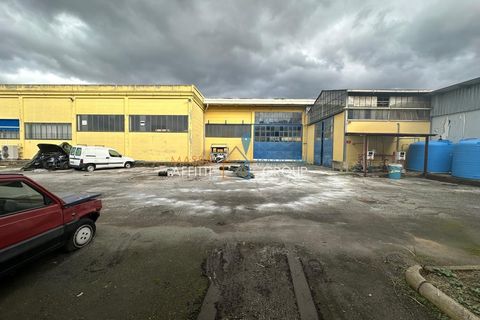 Erhvervsejendom i Massa, Massa and Carrara, Massa - € 1.600.000 | Ref: 2835 - foto 9