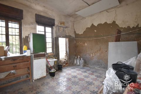 Terra a Orihuela, Alicante, Orihuela - € 150.000 | Ref: 2049 - foto 6