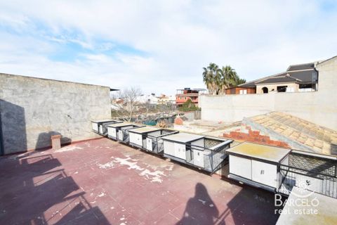 Terra a Orihuela, Alicante, Orihuela - € 150.000 | Ref: 2049 - foto 8