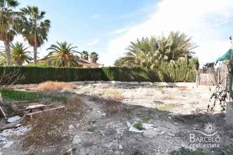 Terra a Orihuela, Alicante, Orihuela - € 150.000 | Ref: 2049 - foto 11
