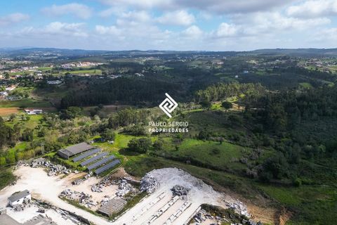Erhvervsejendom i Tomar, Santarem, Tomar - € 3.800.000 | Ref: PS-8313 - foto 5