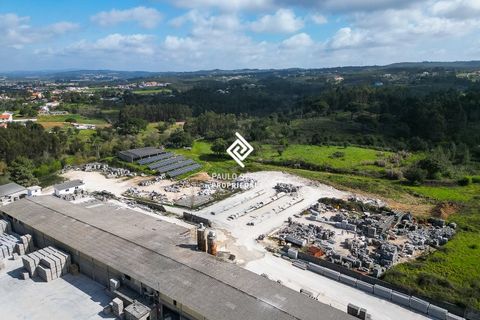 Erhvervsejendom i Tomar, Santarem, Tomar - € 3.800.000 | Ref: PS-8313 - foto 3