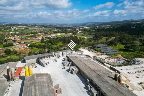 Erhvervsejendom i Tomar, Santarem, Tomar - € 3.800.000 | Ref: PS-8313 - foto 7