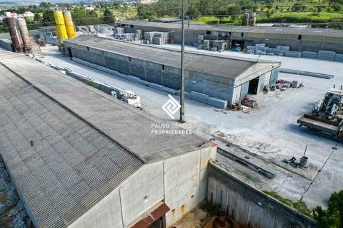 Erhvervsejendom i Tomar, Santarem, Tomar - € 3.800.000 | Ref: PS-8313 - foto 13