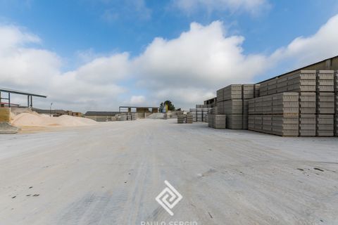 Erhvervsejendom i Tomar, Santarem, Tomar - € 3.800.000 | Ref: PS-8313 - foto 20