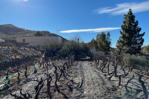 Landejendom i Senes, Almeria, Senes - € 170.000 | Ref: SEN370 - foto 6