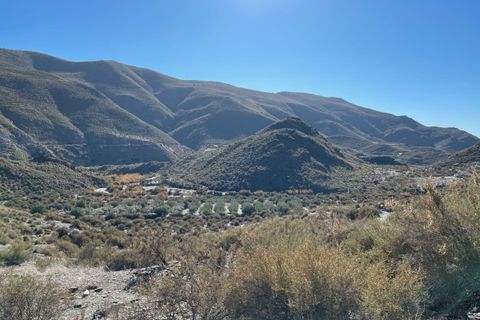 Landejendom i Senes, Almeria, Senes - € 170.000 | Ref: SEN370 - foto 39