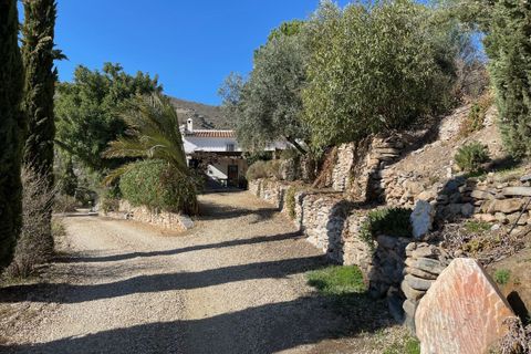 Herregård i Sorbas, Almeria, Sorbas - € 550 000 | Ref: SOR371 - foto 6