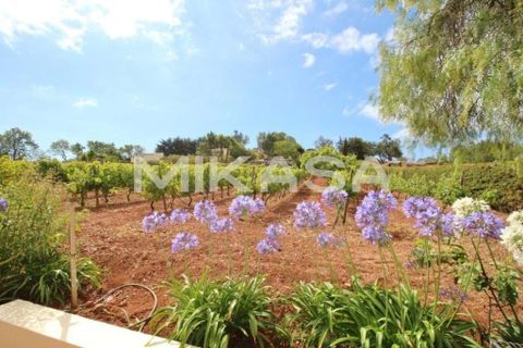 Farm i Luz, Faro, Luz - € 1.600.000 | Ref: M102 - foto 10