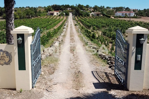 Farm i Luz, Faro, Luz - € 1.600.000 | Ref: M102 - foto 19