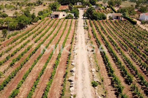 Farm i Luz, Faro, Luz - € 1.600.000 | Ref: M102 - foto 20