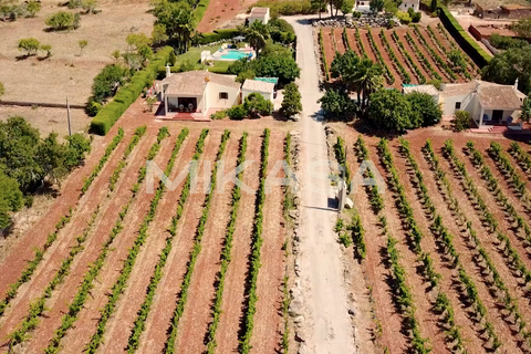 Farm i Luz, Faro, Luz - € 1.600.000 | Ref: M102 - foto 21