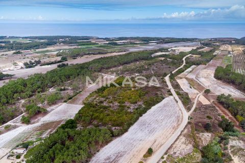 Helårsgrund i Rogil, Faro, Rogil - € 110.000 | Ref: T105 - foto 2