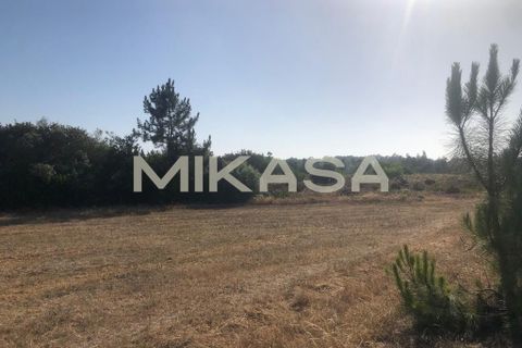Helårsgrund i Rogil, Faro, Rogil - € 110.000 | Ref: T105 - foto 8