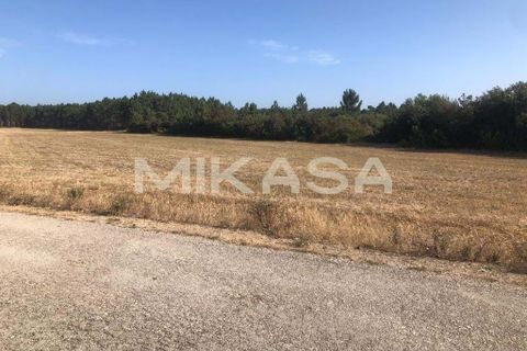 Helårsgrund i Rogil, Faro, Rogil - € 110.000 | Ref: T105 - foto 9