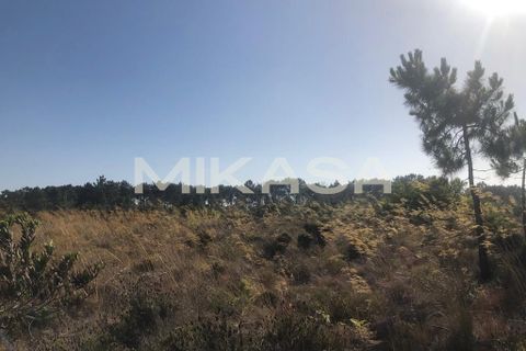 Helårsgrund i Rogil, Faro, Rogil - € 110.000 | Ref: T105 - foto 10