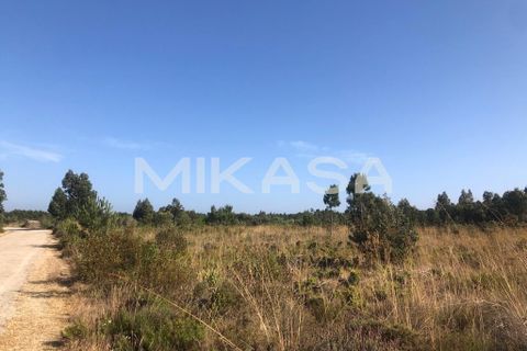 Helårsgrund i Rogil, Faro, Rogil - € 110.000 | Ref: T105 - foto 11