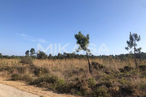 Helårsgrund i Rogil, Faro, Rogil - € 110.000 | Ref: T105 - foto 12