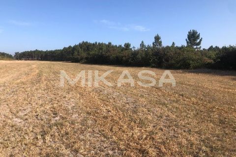 Helårsgrund i Rogil, Faro, Rogil - € 110.000 | Ref: T105 - foto 13