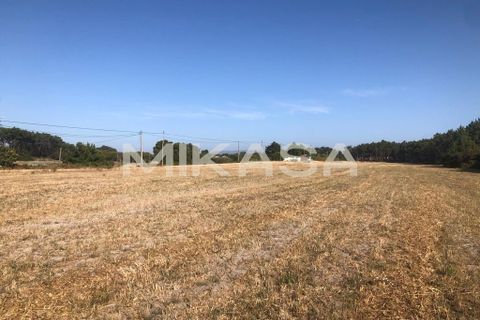 Helårsgrund i Rogil, Faro, Rogil - € 110.000 | Ref: T105 - foto 15