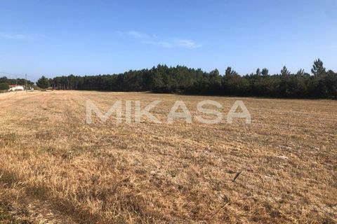 Helårsgrund i Rogil, Faro, Rogil - € 110.000 | Ref: T105 - foto 17